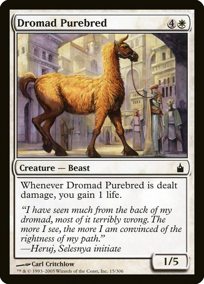 Dromad Purebred [Ravnica: City of Guilds] - Devastation Store | Devastation Store